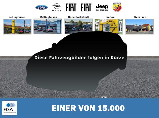Fiat Panda City Plus MHEV Klima Allwetterreifen DAB Servo Soundsystem Fahrerprofil Mu